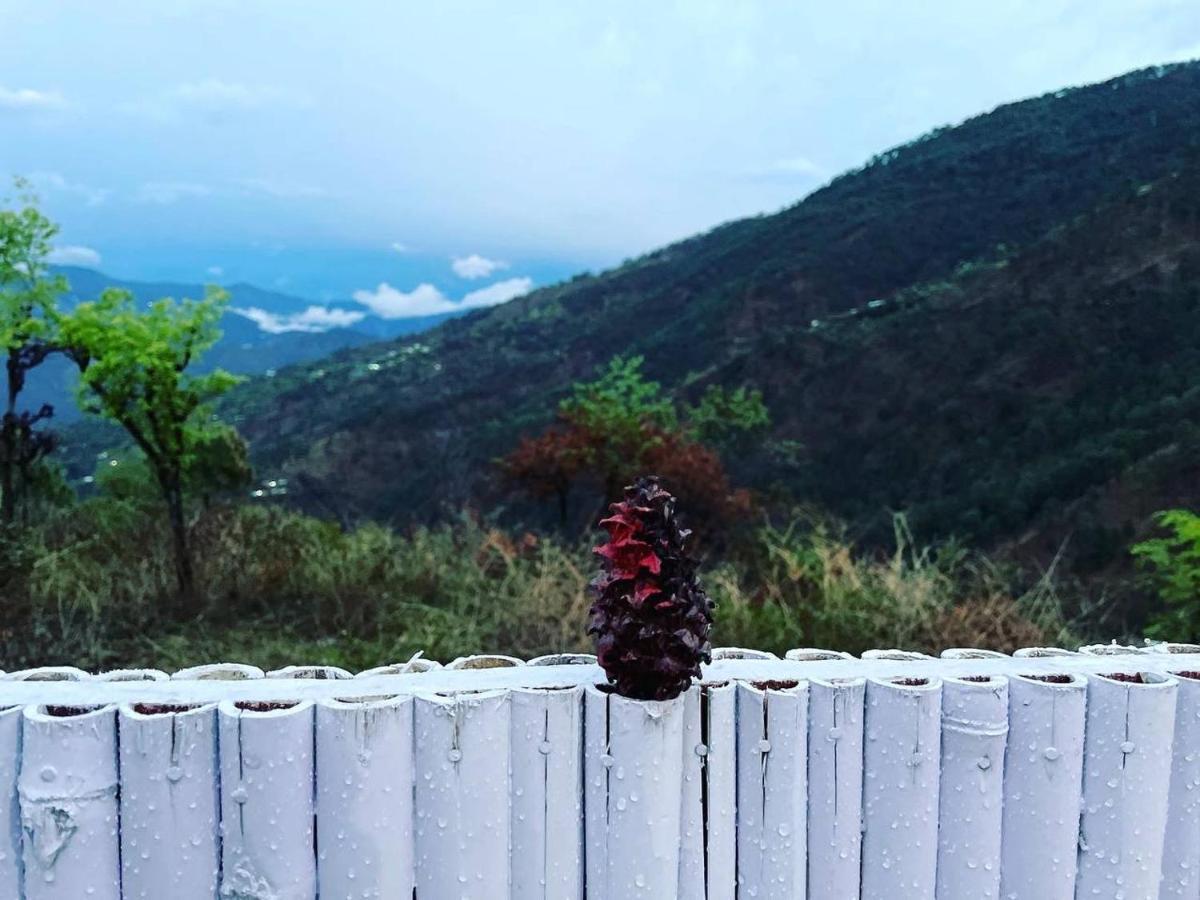 Pahaadi Dhun Homestay Chamba  외부 사진